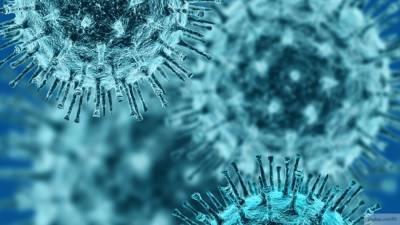 Гинцбург назвал срок появления иммунитета к COVID-19 после "лайт-вакцины"
