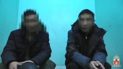 В Хабаровске два пьяных брата-близнеца подрались на борту самолета