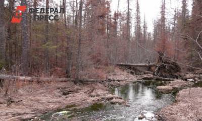 Экологи рассказали о загрязнении рек на севере Урала отвалами УГМК