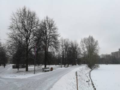 В Москве подморозят до минус двух, по области — снег и гололедица