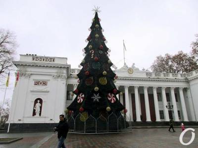 Когда откроют главную новогоднюю елку Одессы: дата и время