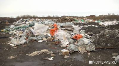 Россия забраковала предложение по отказу ЕАЭС от пластиковых пакетов