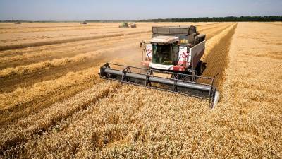 «Ъ»: российские компании рассказали о сложностях при экспорте пшеницы