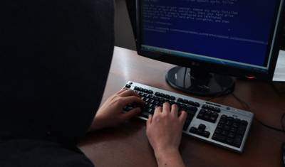 В Тюменской области на 88% выросло количество киберпреступлений