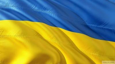 Представитель Киева на заседании по Донбассу пострадал от нецензурной брани