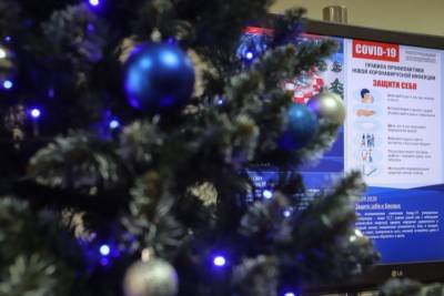 В Москве до новогодних праздников локдауна не будет