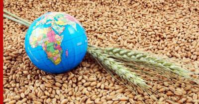 Российские предприниматели сообщили о сложностях при экспорте пшеницы