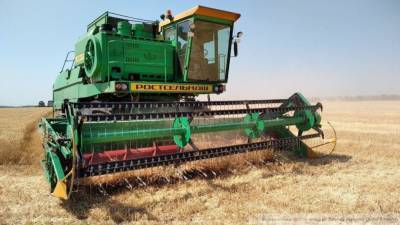 Участники российского рынка пшеницы столкнулись с проблемами на таможне