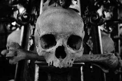 В Ленобласти возле церкви обнаружены кости и пробитый череп жившей 100 лет назад женщины