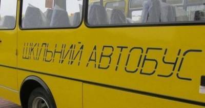 Черкасчине выделили миллионы на приобретение школьных автобусов