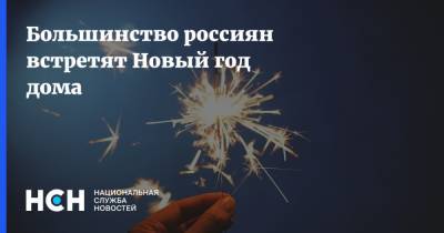 Большинство россиян встретят Новый год дома