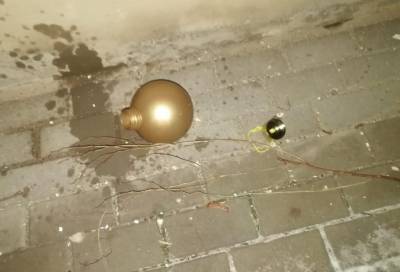 Новогодняя ёлка в Гатчине пострадала от рук вандалов