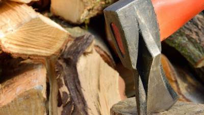 Архангельская область готовит проект по контролю за оборотом древесины