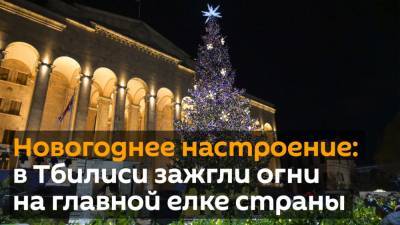 Новогоднее настроение: в Тбилиси зажгли огни на главной елке страны