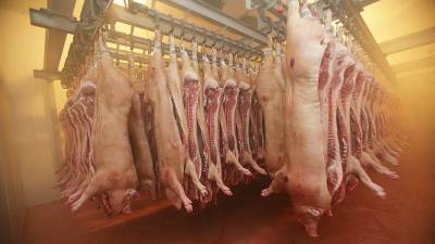В Удмуртии у мясоперерабатывающего предприятия нашли протухшую продукцию