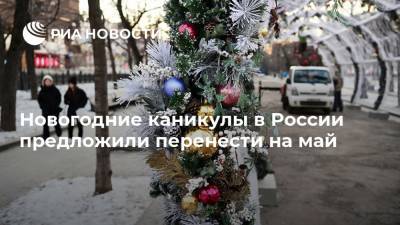 Новогодние каникулы в России предложили перенести на май