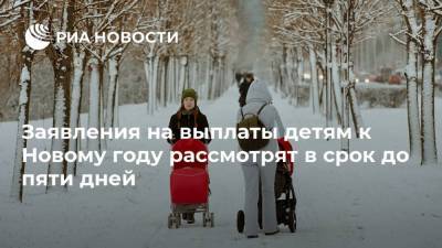 Заявления на выплаты детям к Новому году рассмотрят в срок до пяти дней