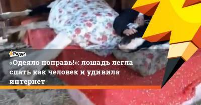 Одеяло поправь!: лошадь легла спать как человек иудивила интернет