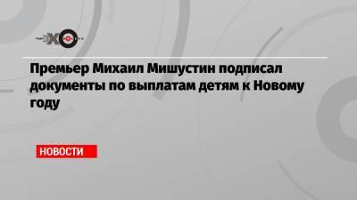 Премьер Михаил Мишустин подписал документы по выплатам детям к Новому году