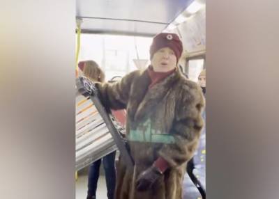 Лолита Милявская пыталась проехать в трамвае с ворованной лавкой