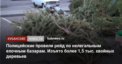 Полицейские провели рейд по нелегальным елочным базарам. Изъято более 1,5 тыс. хвойных деревьев