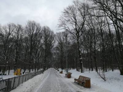 Гололедицу и снег обещают в Москве в субботу