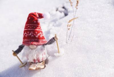 Мокрый снег и гололед: погода в Ленобласти на 19 декабря