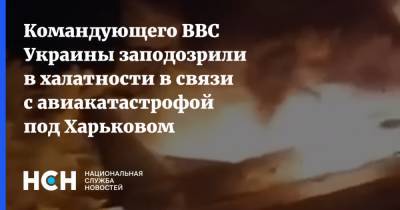 Командующего ВВС Украины заподозрили в халатности в связи с авиакатастрофой под Харьковом
