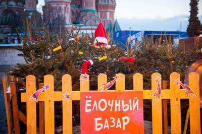 Москва онлайн покажет, как выбрать качественную и свежую елку