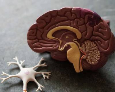Ученые нашли способ замедлить развитие болезни Альцгеймера