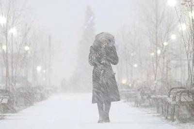 В Ростове ожидается снегопад и сильный ветер