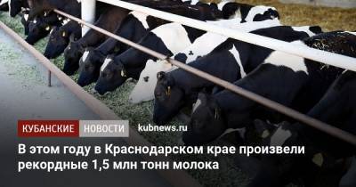 В этом году в Краснодарском крае произвели рекордные 1,5 млн тонн молока