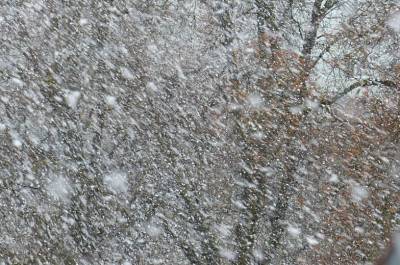 На Дону спрогнозировали снег с метелью и похолодание