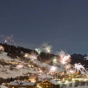 В Австрии после Рождества могут ввести третий общенациональный локдаун