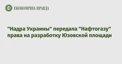 "Надра Украины" передала "Нафтогазу" права на разработку Юзовской площади