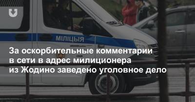 За оскорбительные комментарии в сети в адрес милиционера из Жодино заведено уголовное дело