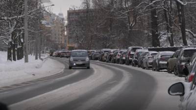 Вице-губернатор Петербурга поручил активизировать уборку пешеходных маршрутов в зонах зеленых насаждений