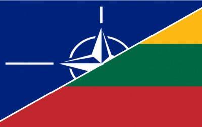 Премьер обсудила с генсеком НАТО возможность провести саммит Альянса в Литве