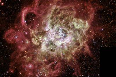 Hubble показал туманность с "новорожденными" звездами