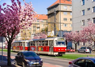Прага решила не повышать стоимость проезда в общественном транспорте
