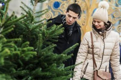 Из-за коронавируса легальных елочных базаров в Киеве стало меньше