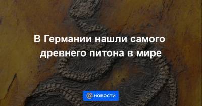 Екатерина Гура - В Германии нашли самого древнего питона в мире - news.mail.ru