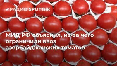 МИД РФ объяснил, из-за чего ограничили ввоз азербайджанских томатов