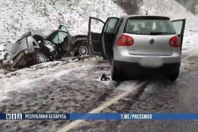 Водитель и пассажир «Форда» погибли возле Воложина