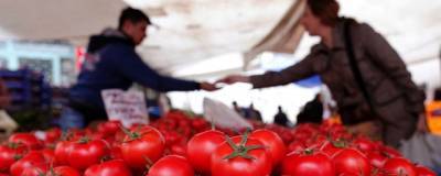 Россия сняла часть ограничений с Узбекистана на ввоз томатов и перцев