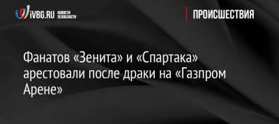 Фанатов «Зенита» и «Спартака» арестовали после драки на «Газпром Арене»