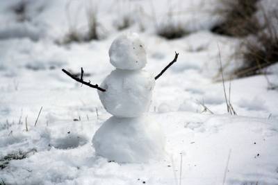 Последствия снегопада в Петербурге убирали свыше 900 единиц техники