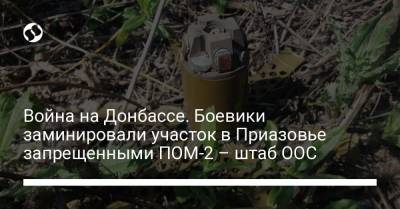 Война на Донбассе. Боевики заминировали участок в Приазовье запрещенными ПОМ-2 – штаб ООС