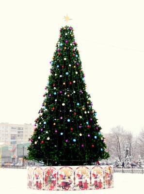 Глава ВГА "подарил" жителям Лисичанска новогоднюю елку за счет средств бюджета