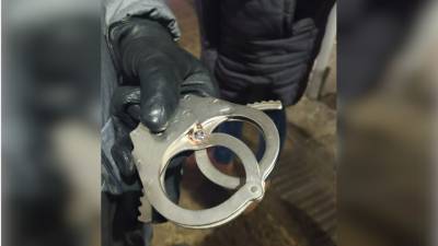 В Подмосковье наручники спасли полицейского от смерти. Видео